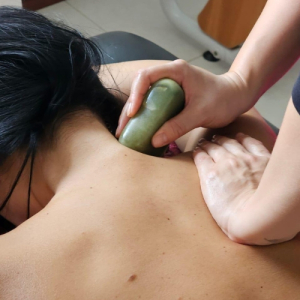 Fisioterapia Integrativa